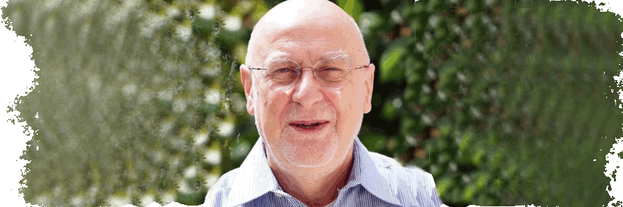 Rinaldo Paganelli