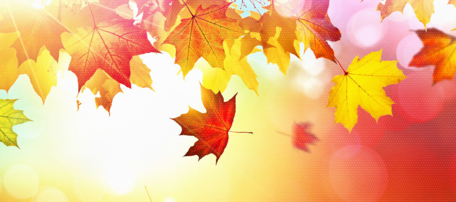 Autunno